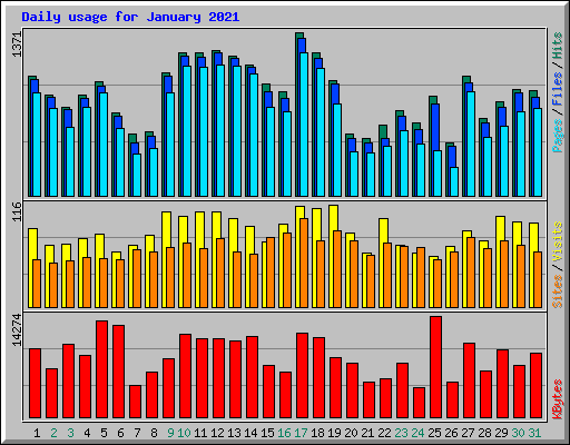 Daily usage for January 2021