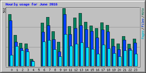 Hourly usage for June 2016