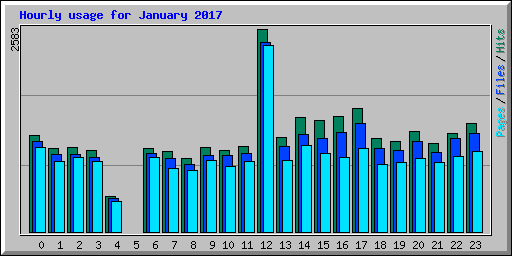 Hourly usage for January 2017