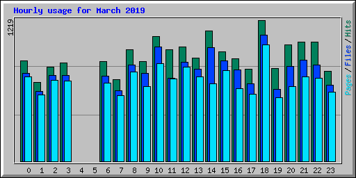 Hourly usage for March 2019