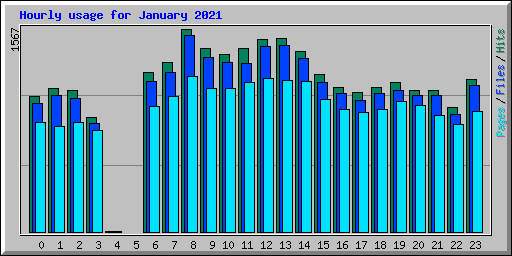 Hourly usage for January 2021