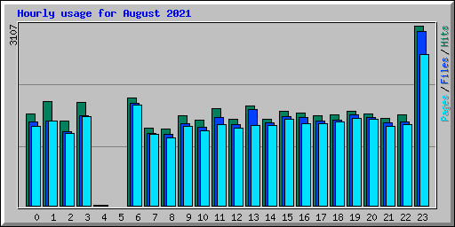 Hourly usage for August 2021