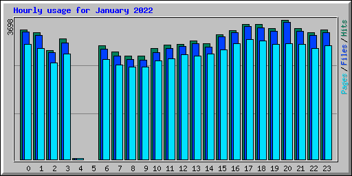 Hourly usage for January 2022