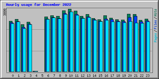 Hourly usage for December 2022