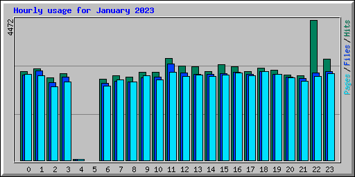 Hourly usage for January 2023