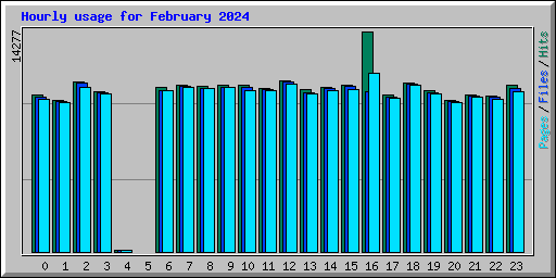 Hourly usage for February 2024