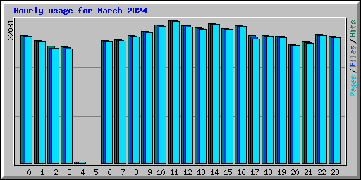 Hourly usage for March 2024