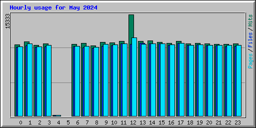 Hourly usage for May 2024